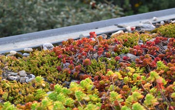 the cost of Greenstead Green green roof installation