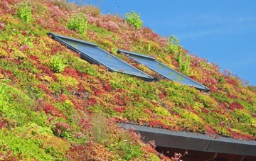 Greenstead Green living roof systems